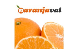 Naranjas ValencianasSeraportiendas