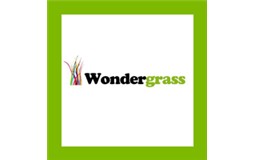 WondergrassSeraportiendas
