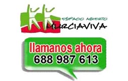 MurciavivaSeraportiendas