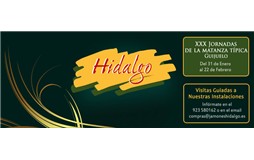 HidalgoSeraportiendas