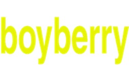 Boy BerrySeraportiendas